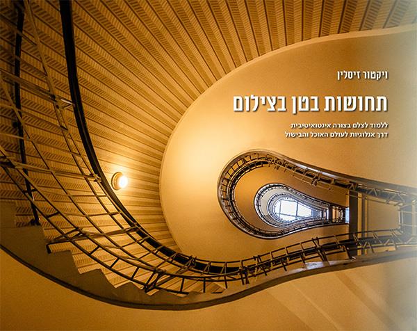 תחושות בטן בצילום 