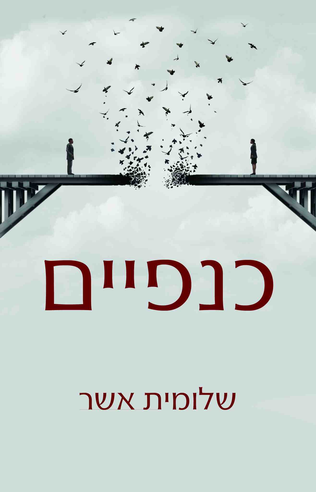 כנפיים / שלומית אשר