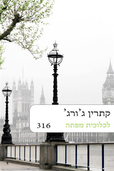 הטעות של המיליונר / אנג&acute;י ריי