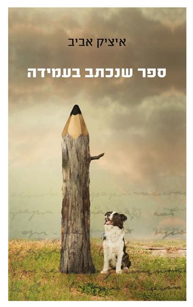 ספר שנכתב בעמידה / איציק אביב